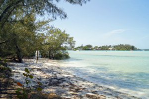 The beach at a vacant lot that's for sale on Jewfish Key. Kim Freiwald of Premier Sotheby's International Realty has the listing at $1.275 million. Staff photo / Harold Bubil; 4-27-2016.