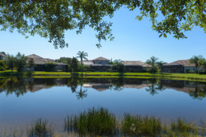 One of several lakes at Red Hawk Reserve in Sarasota.  STAFF PHOTO /  DAN WAGNER